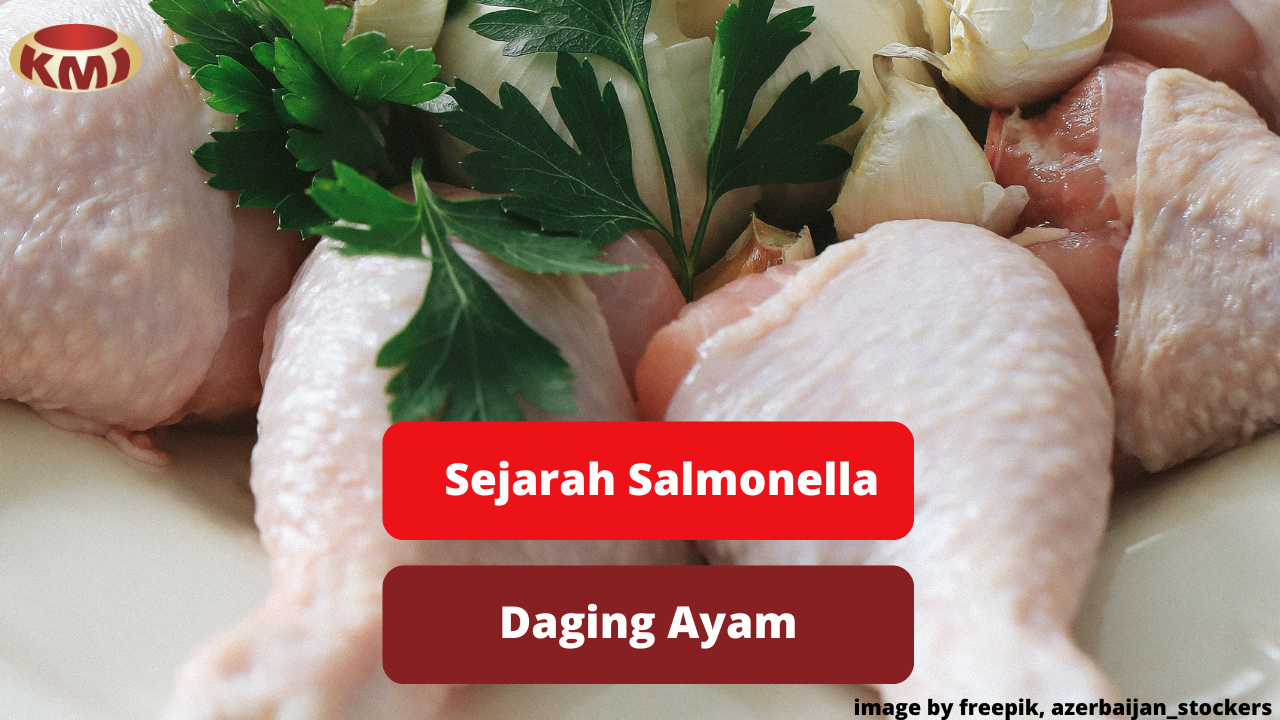 Berikut Ini Kilas Sejarah Kasus Salmonella Daging Ayam